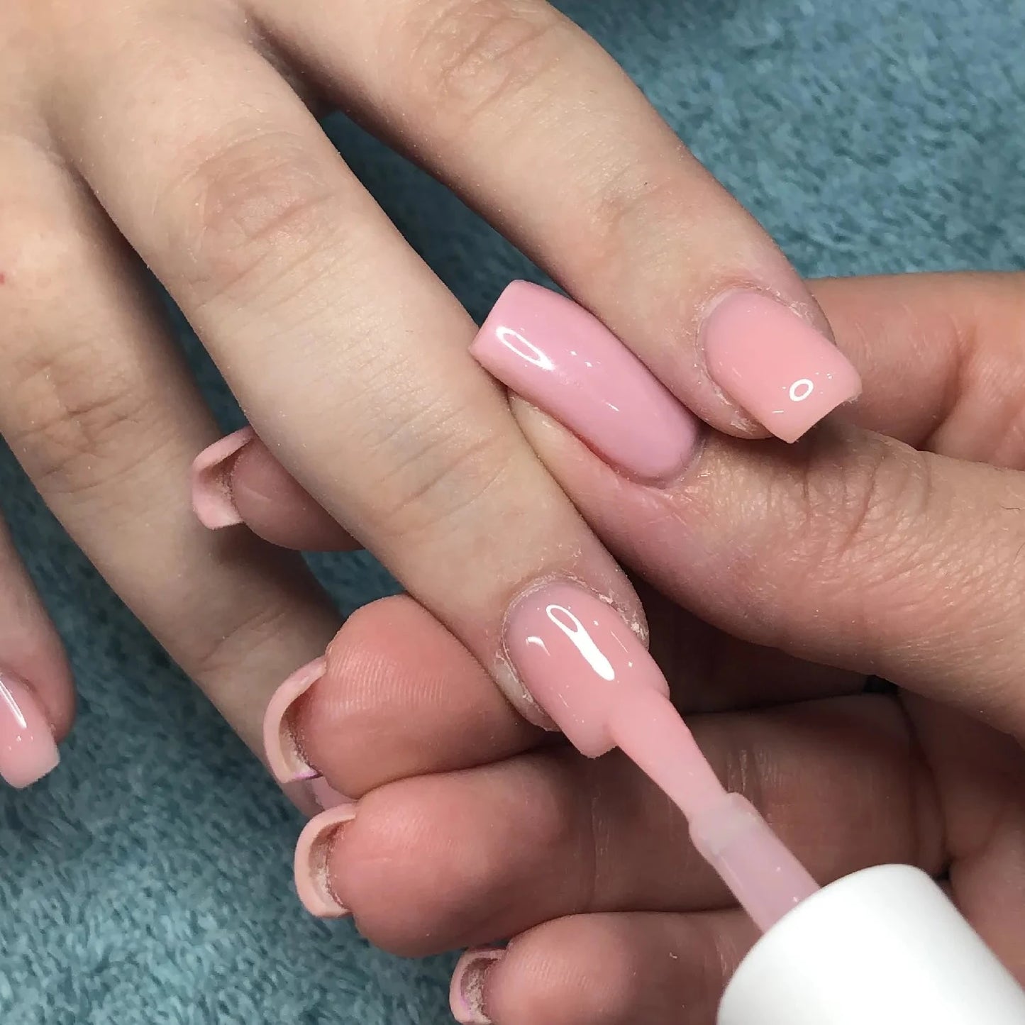 Online Builder Gel Course (NO KIT)